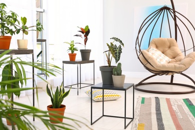 Photo of Living room interior with swing chair and indoor plants. Trendy home decor