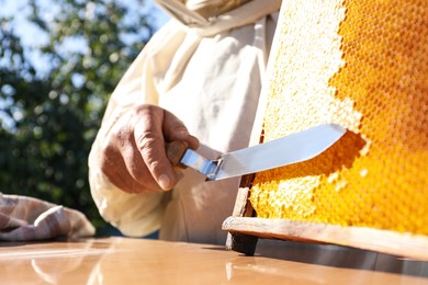 Senior beekeeper uncapping honeycomb frame with knife at table outdoors, closeup
