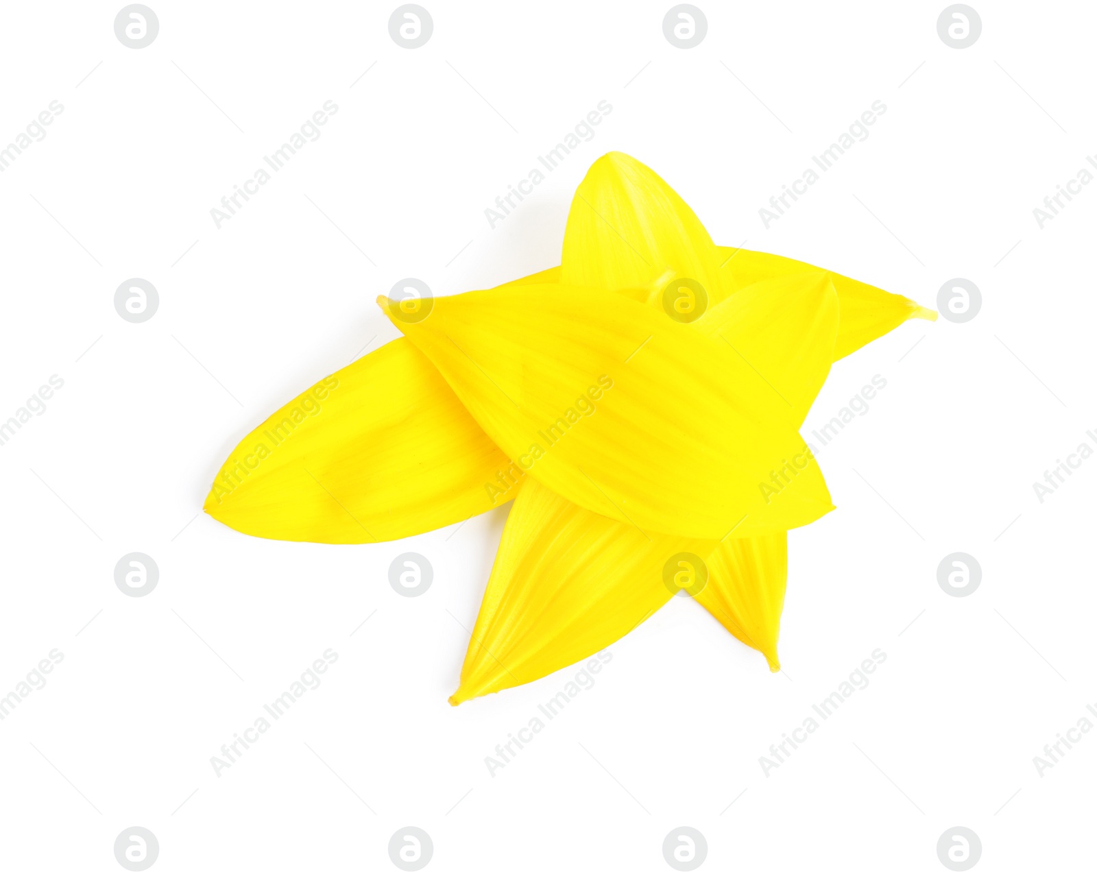 Photo of Fresh yellow sunflower petals isolated on white, top view