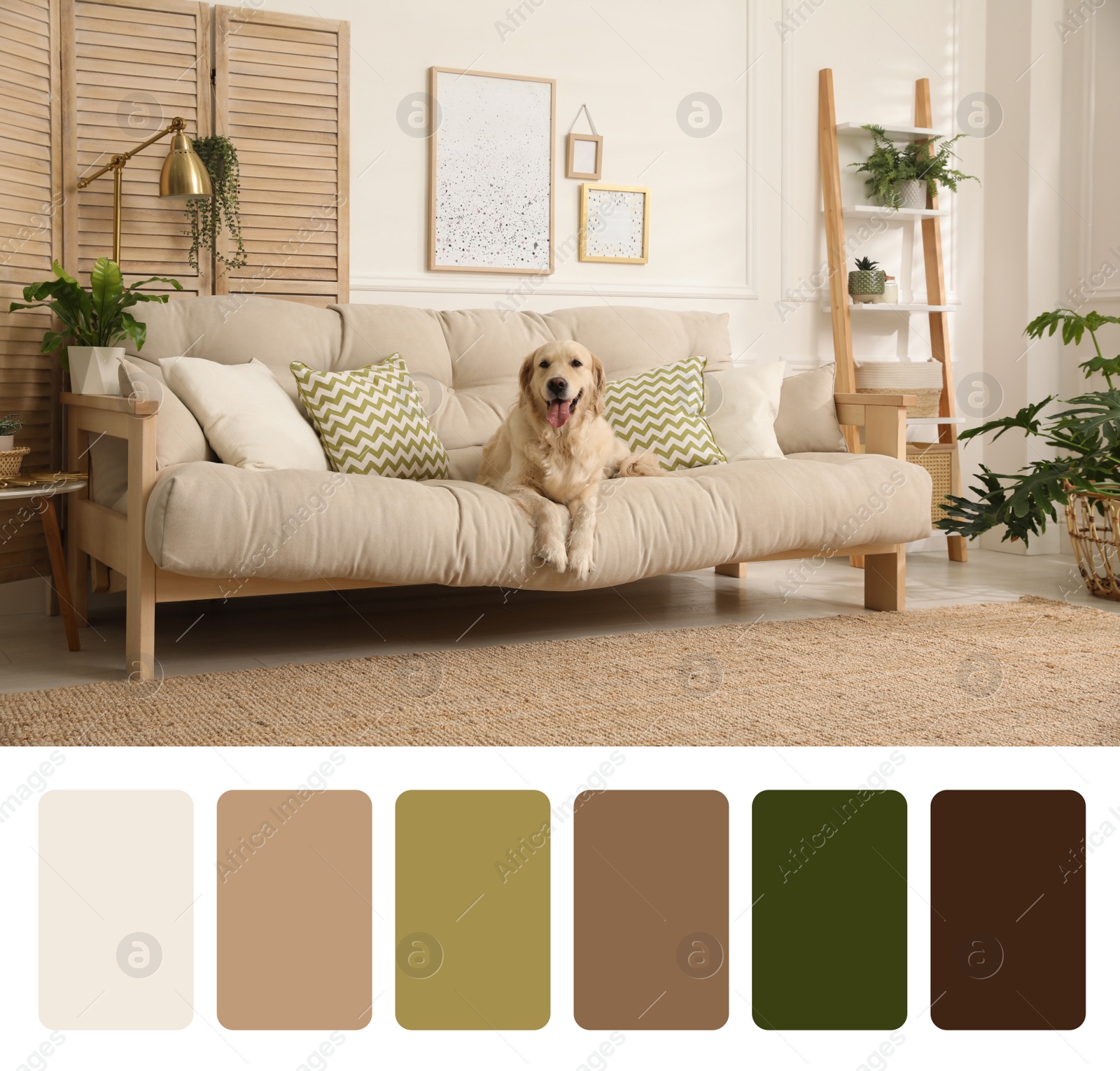 Image of Color palette and photo of adorable dog on sofa in living room. Collage