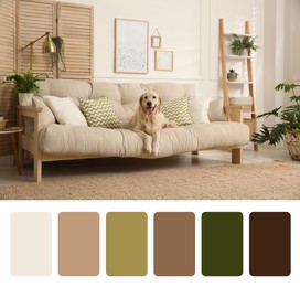 Image of Color palette and photo of adorable dog on sofa in living room. Collage