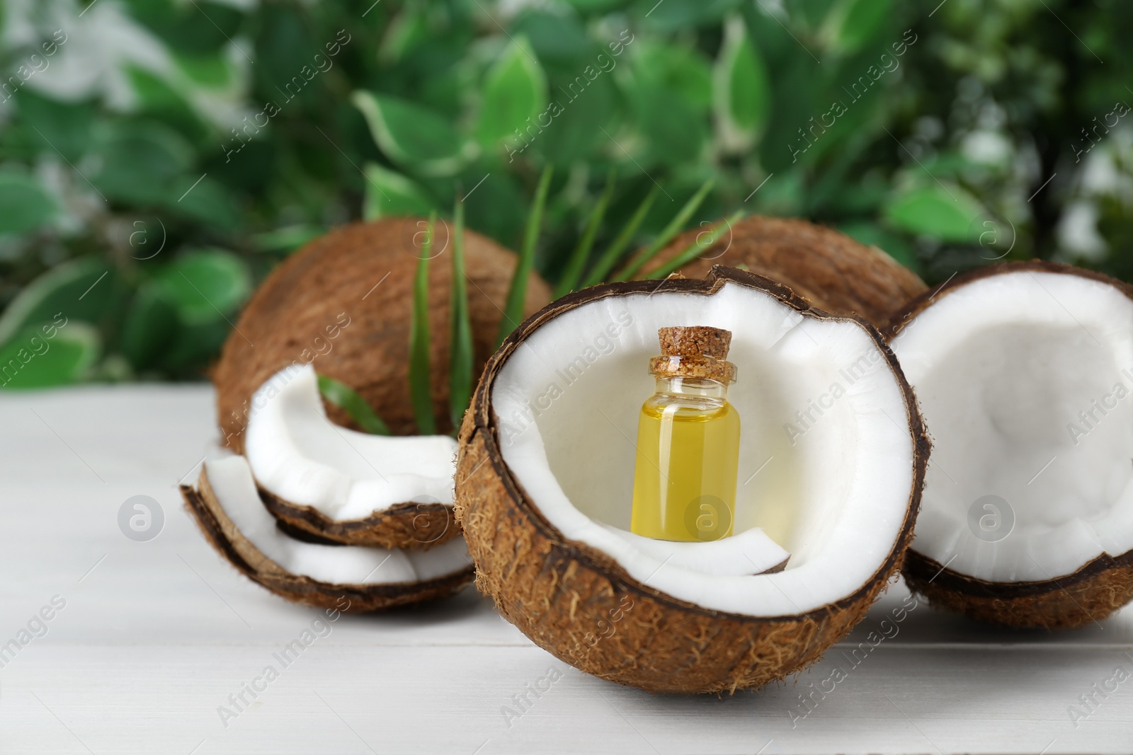 Photo of Bottle of organic coconut cooking oil, leaf and fresh fruits on white wooden table