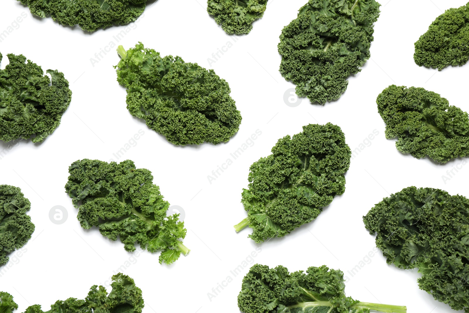 Photo of Fresh kale leaves on white background, top view