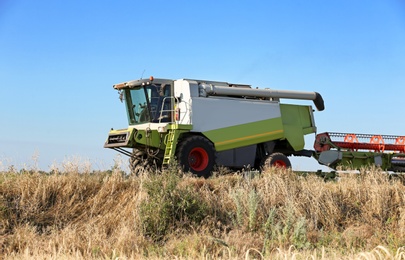 Photo of Modern combine harvester in wheat field. Cereal grain crop