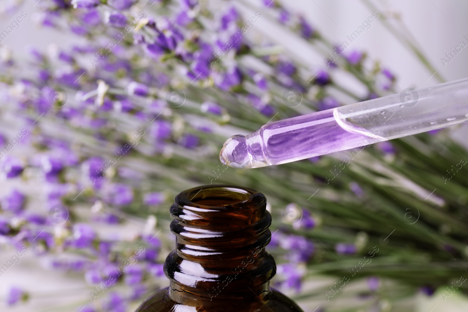 Photo of Dripping natural lavender oil into bottle against blurred background, closeup