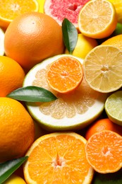 Photo of Different ripe citrus fruits with green leaves as background, closeup