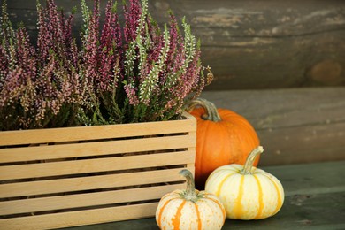 Photo of Beautiful heather flowers in crate and pumpkins on table near wooden wall, selective focus. Space for text