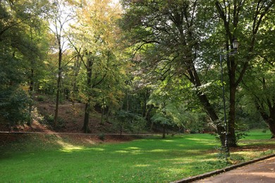 Photo of Pathway, fallen leaves, green grass and trees in beautiful public city park on autumn day