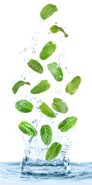 Image of Green mint leaves falling into clear water on white background