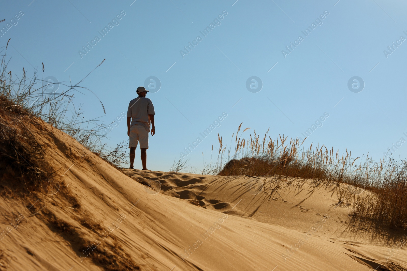 Photo of Man in desert on sunny day, back view