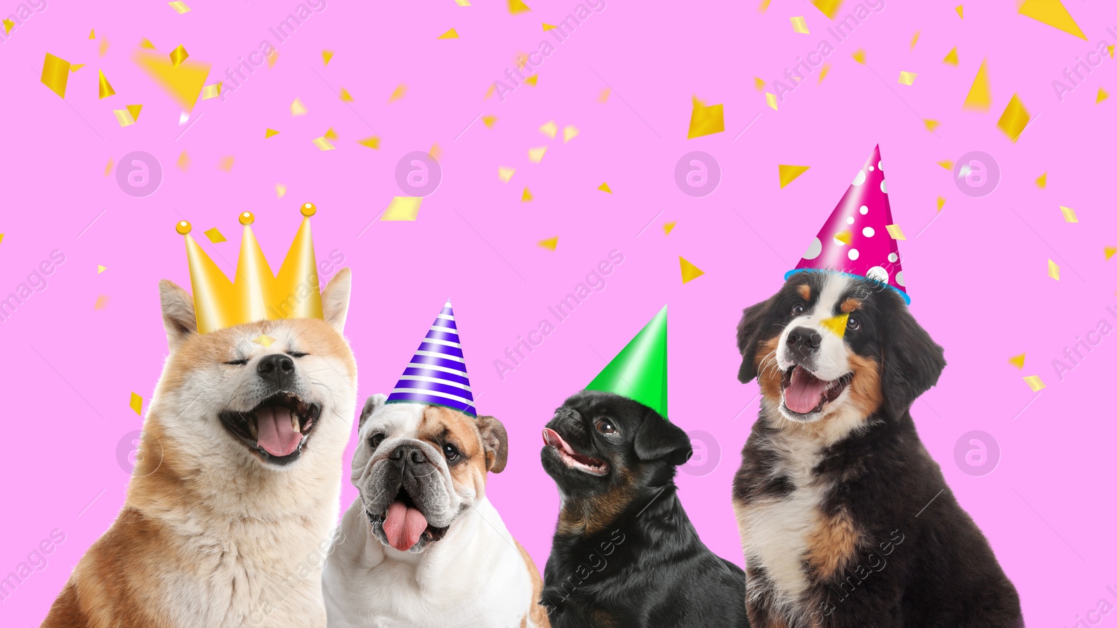 Image of Adorable dogs with party hats on pink background. Banner design 