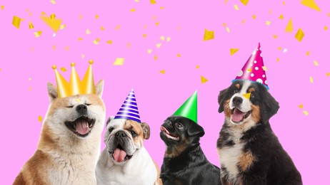 Image of Adorable dogs with party hats on pink background. Banner design 