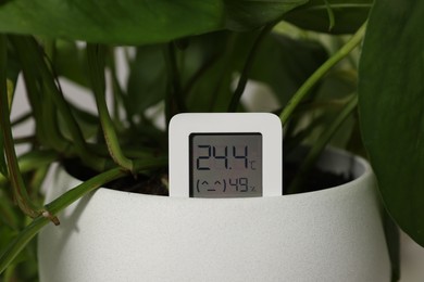 Photo of Digital hygrometer with thermometer and plant in flower pot, closeup