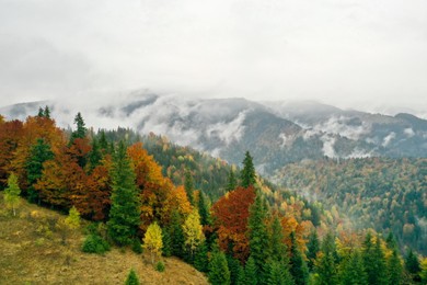 Aerial view of mountains covered with fog