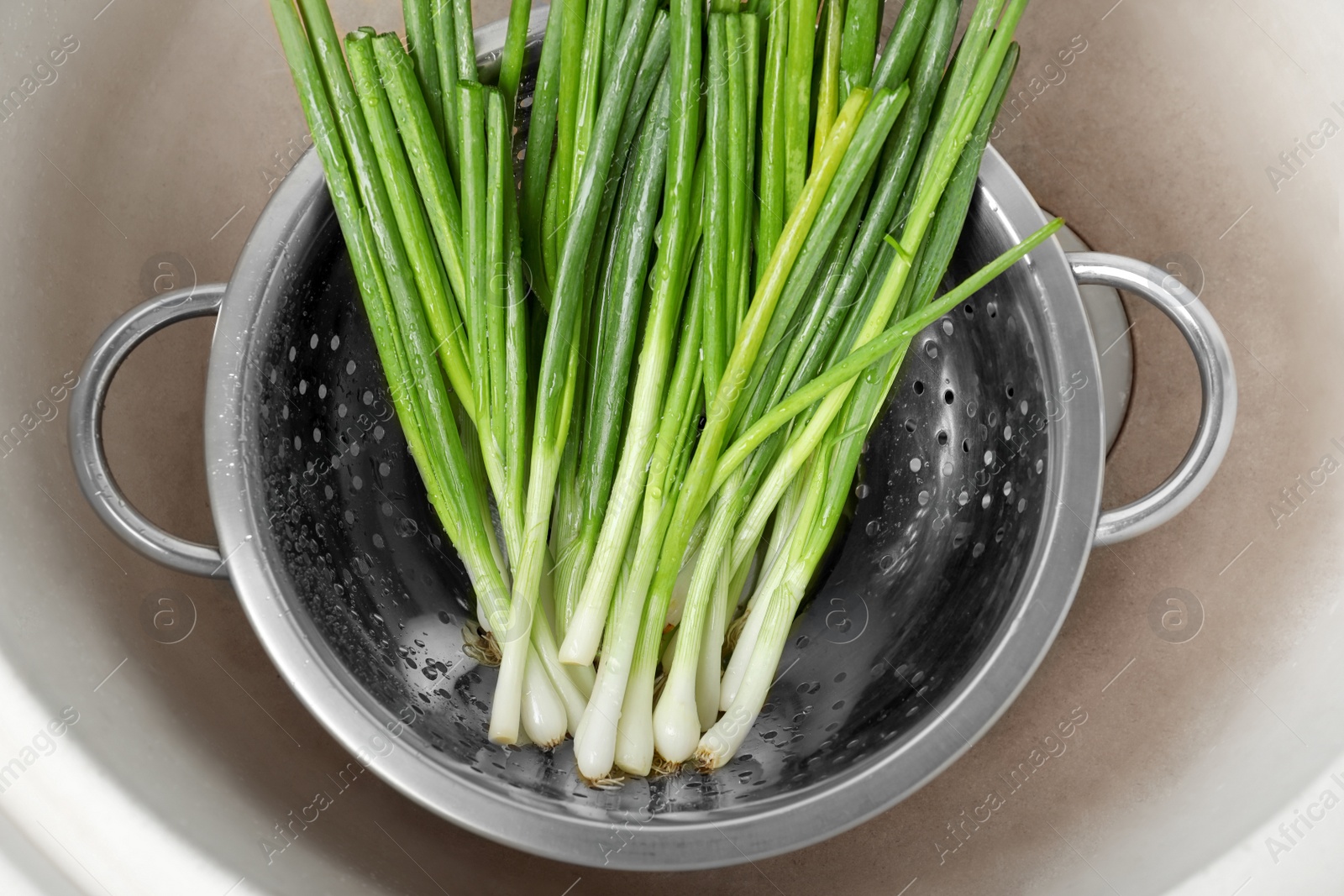 Photo of Colander with bunch of fresh green onions in kitchen sink