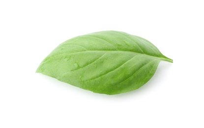 Photo of Fresh green basil leaf on white background