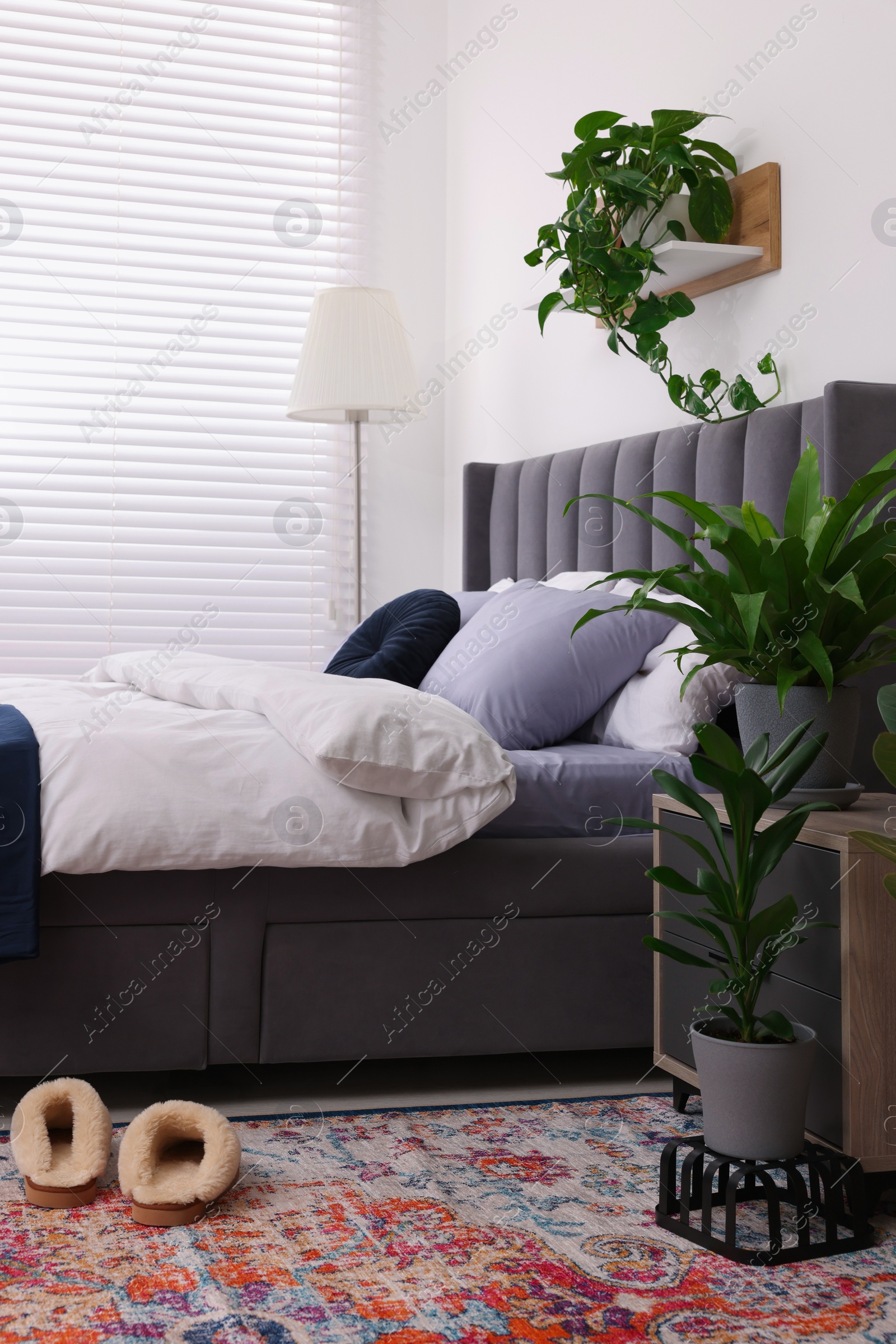 Photo of Beautiful green houseplants and bed in room. Bedroom interior