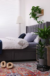 Photo of Beautiful green houseplants and bed in room. Bedroom interior