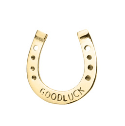 Golden horseshoe with phrase GOOD LUCK isolated on white. St. Patrick's Day celebration