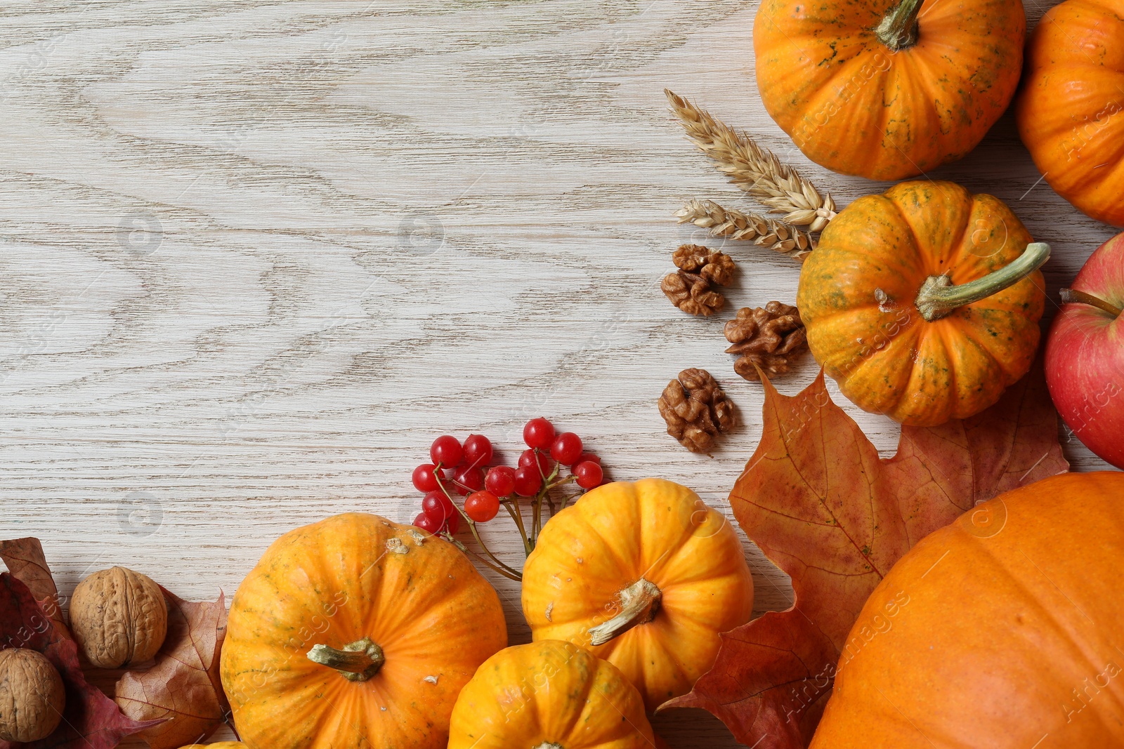 Photo of Thanksgiving day. Flat lay composition with pumpkins on white wooden table, space for text