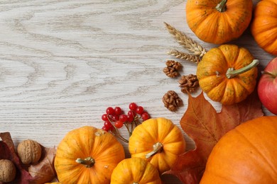 Thanksgiving day. Flat lay composition with pumpkins on white wooden table, space for text