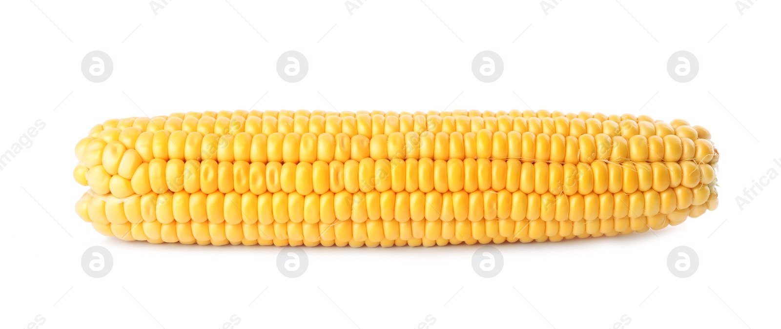 Photo of Ripe raw corn cob isolated on white