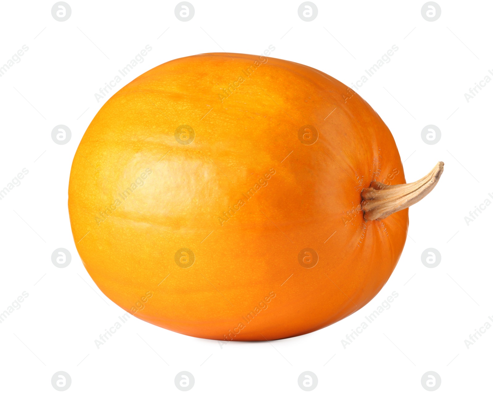 Photo of One fresh orange pumpkin isolated on white