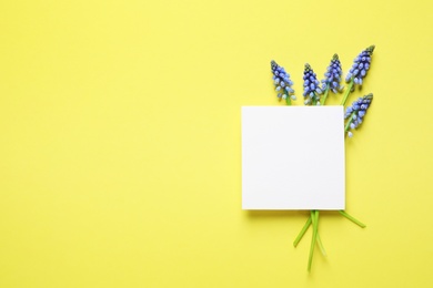 Photo of Flat lay composition with empty card and spring muscari flowers on color background. Space for text