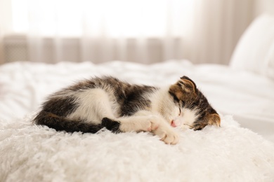 Photo of Adorable little kitten sleeping on white pillow indoors