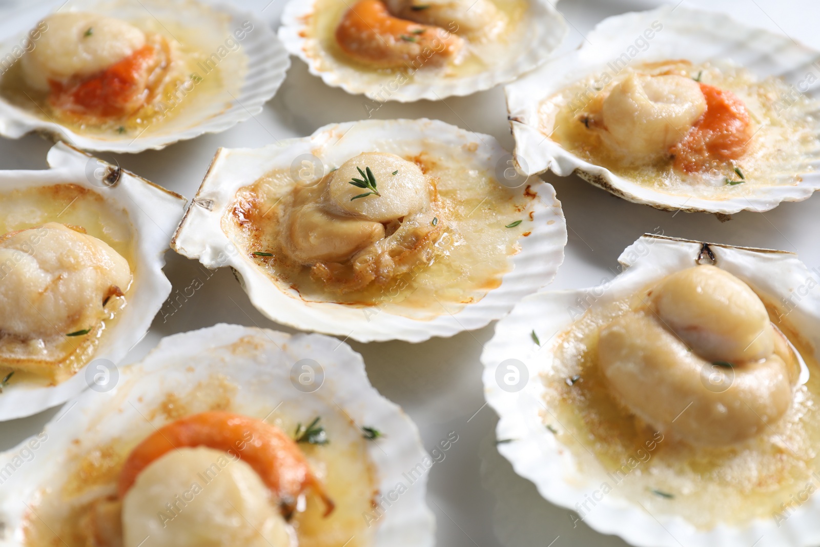 Photo of Fried scallops in shells on plate, closeup