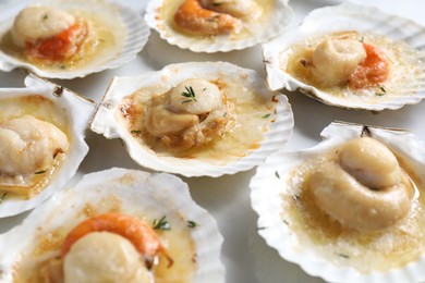 Photo of Fried scallops in shells on plate, closeup