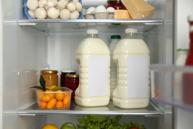 Photo of Gallons of milk and different products in refrigerator, closeup