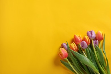 Photo of Many beautiful tulips on yellow background, flat lay. Space for text