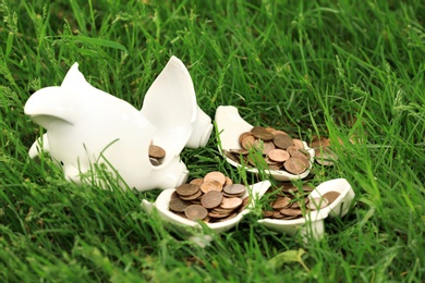 Broken piggy bank with coins on green grass in park