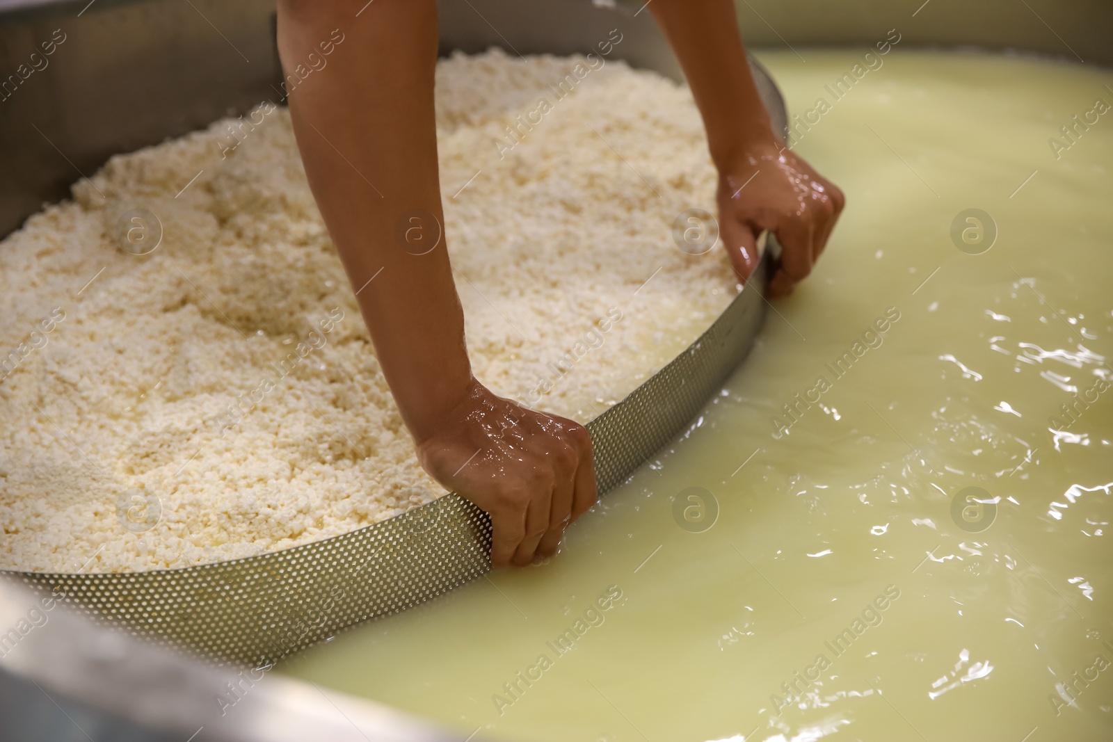 Photo of Worker separating curd from whey in tank at cheese factory, closeup