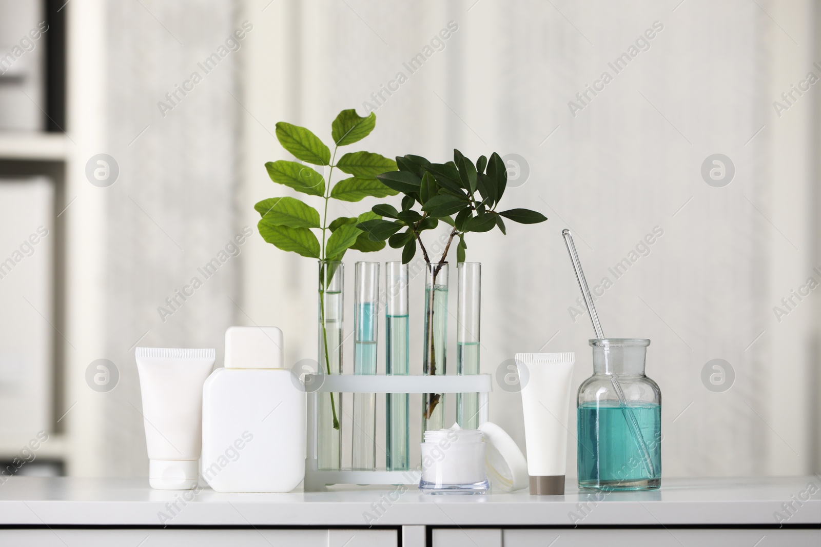 Photo of Many containers and glass tubes with leaves on white lab drawer indoors