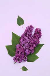 Beautiful lilac flowers and green leaves on pale purple background, top view