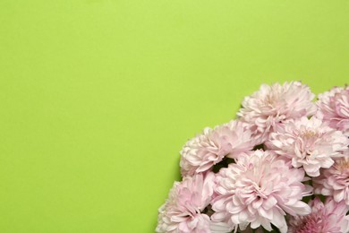 Photo of Beautiful chrysanthemum bouquet on light green background, top view. Space for text