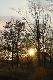 Beautiful view of autumn park at sunset