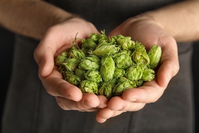 Man holding fresh green hops, closeup. Beer production