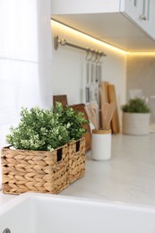 Different potted artificial plants on countertop in kitchen. Home decor