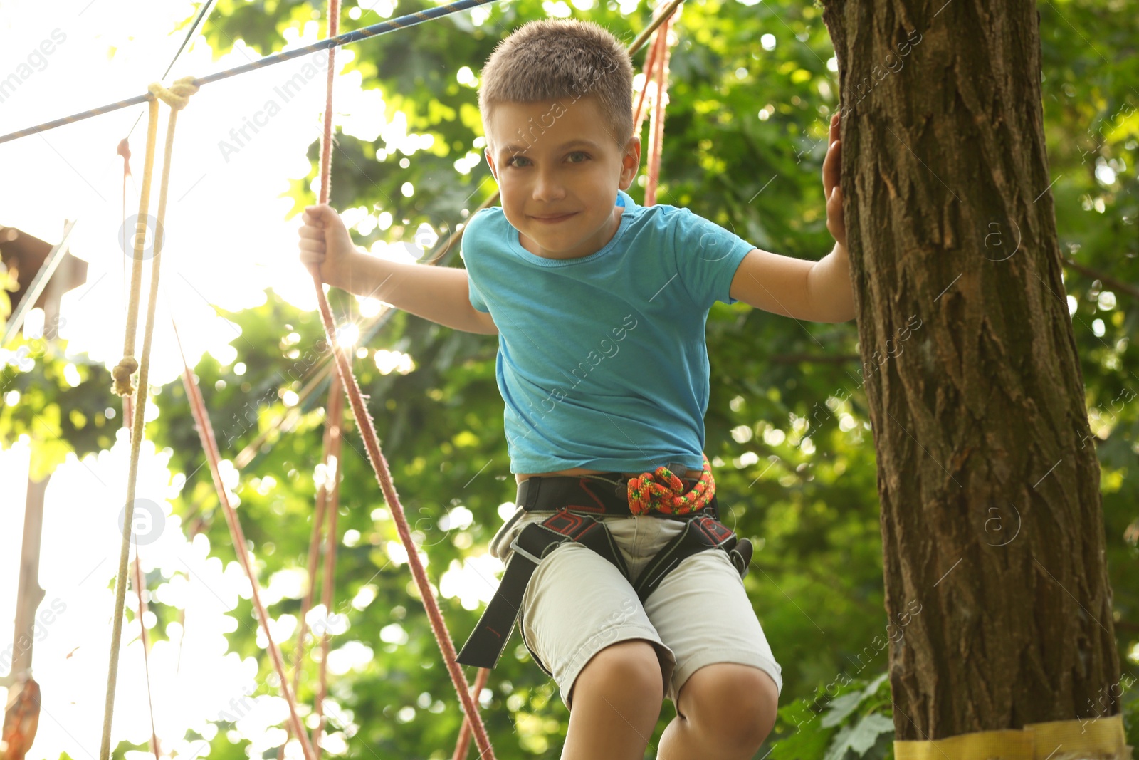 Photo of Little boy climbing in adventure park. Summer camp