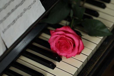 Photo of Beautiful pink rose and musical notes on piano, closeup