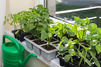 Photo of Seedlings growing in plastic containers with soil on windowsill and watering can indoors