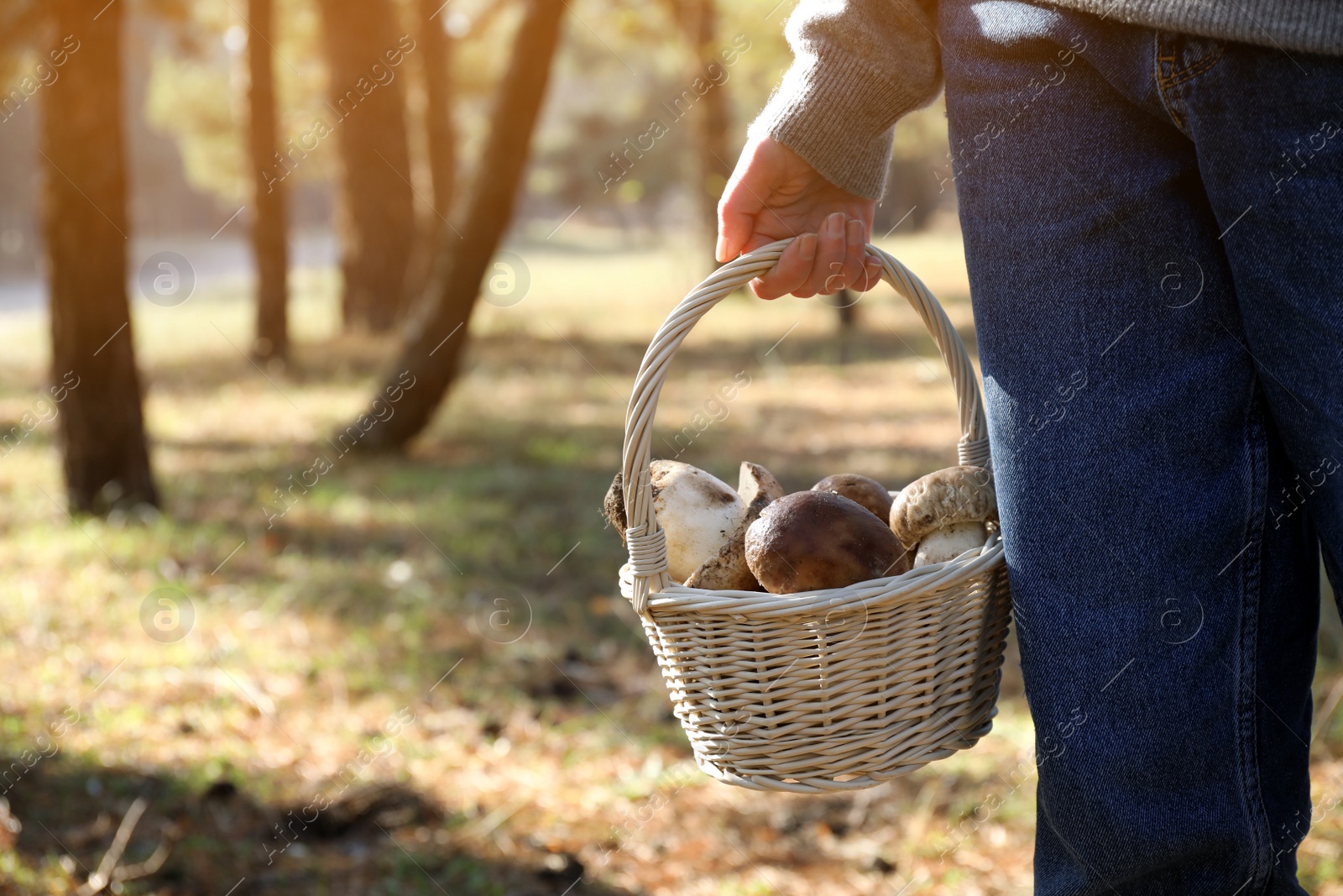 Photo of Woman holding wicker basket with fresh wild mushrooms in forest, closeup