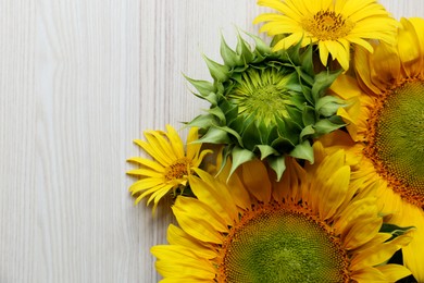 Photo of Beautiful sunflowers on wooden table, flat lay. Space for text