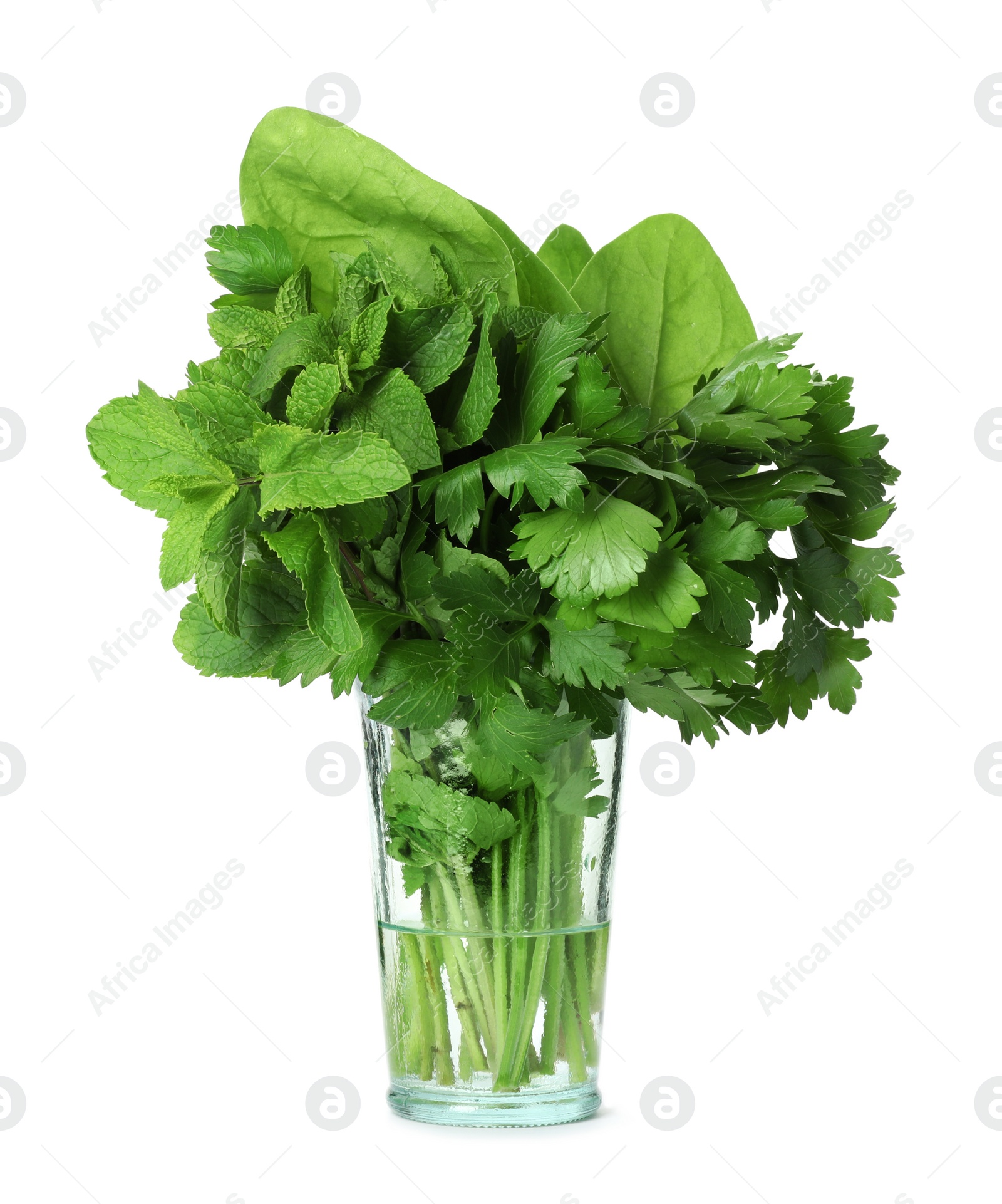 Photo of Glass with fresh green herbs on white background