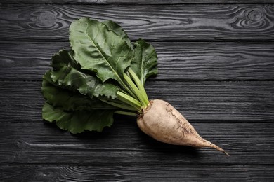 Fresh sugar beet with leaves on black wooden table, top view