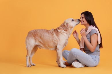 Happy woman playing with cute Labrador Retriever on orange background