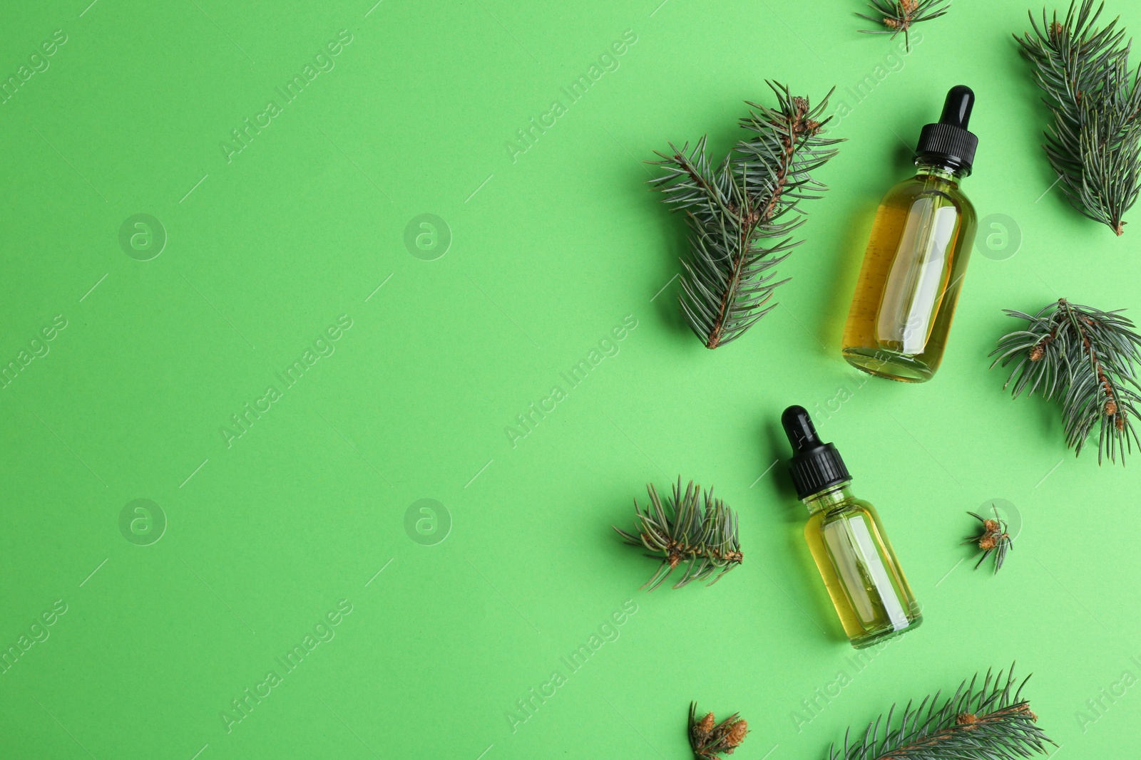 Photo of Little bottles with essential oils and pine branches on color background, flat lay. Space for text